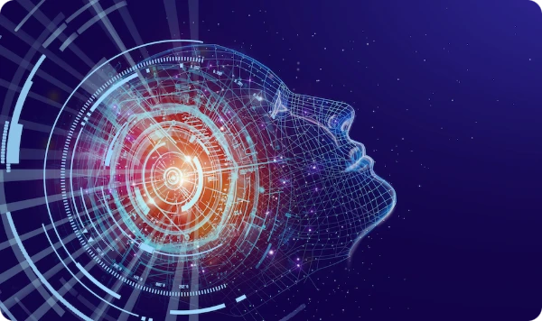 Nexdata データサイエンティスト