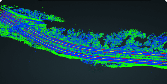 HDマップBEV車線マーキング