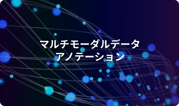 マルチモーダルデータアノテーション